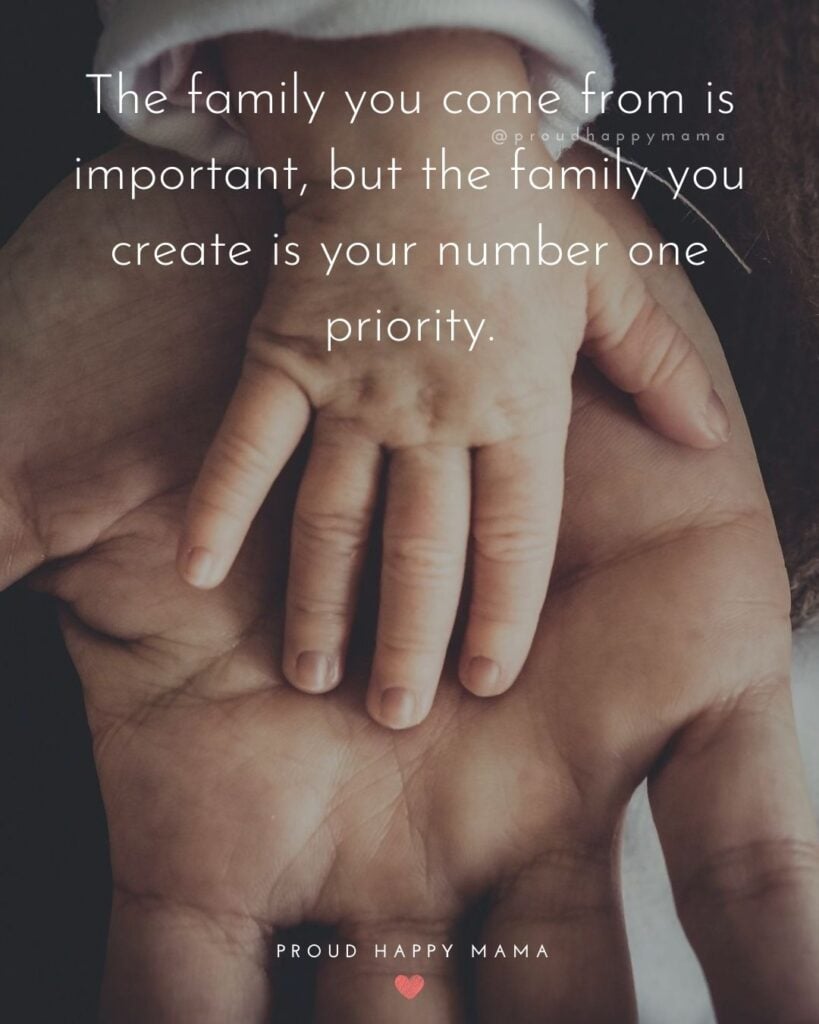 In This Family Quotes | The family you come from is important, but the family you create is your number one priority.