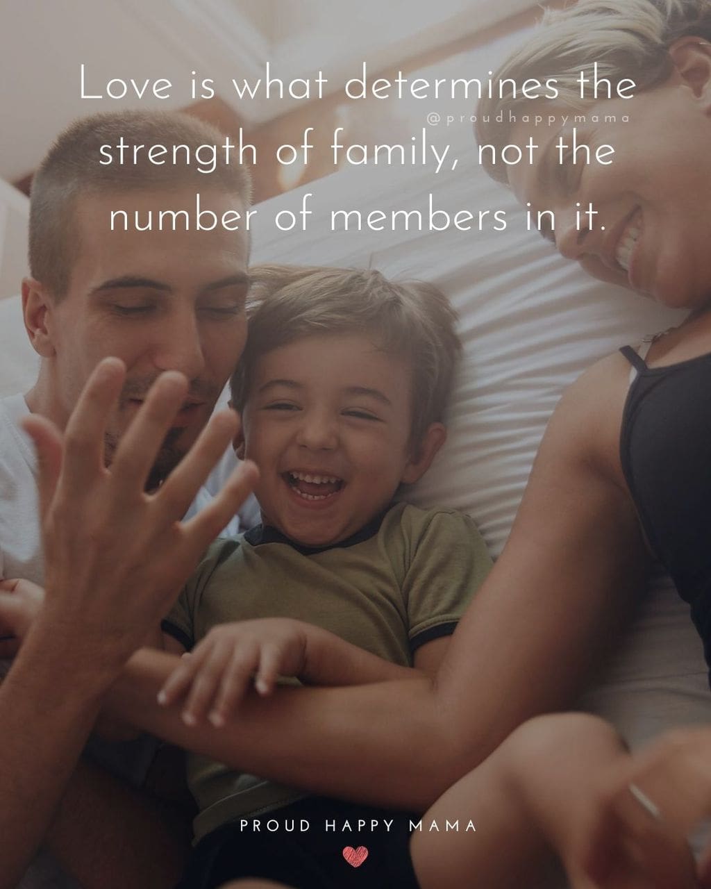 Love Quotes To Family | Love is what determines the strength of family, not the number of members in it.