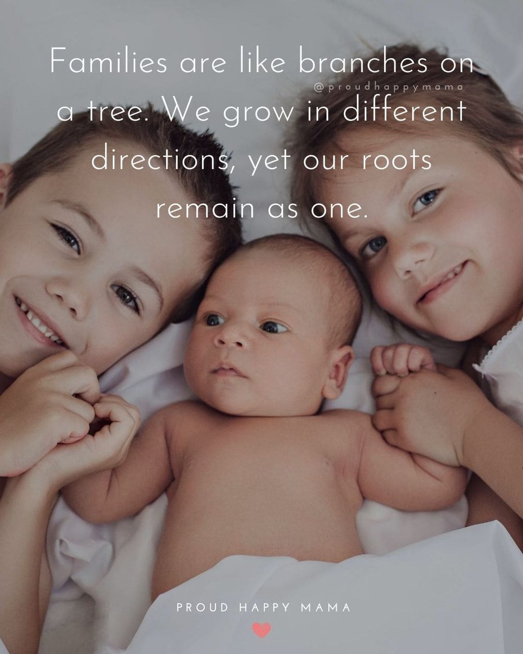 Quotes About Family | Families are like branches on a tree. We grow in different directions, yet our roots remain as one.