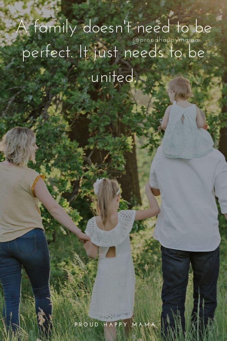 Family Picture Quotes | A family doesn't need to be perfect. It just needs to be united.