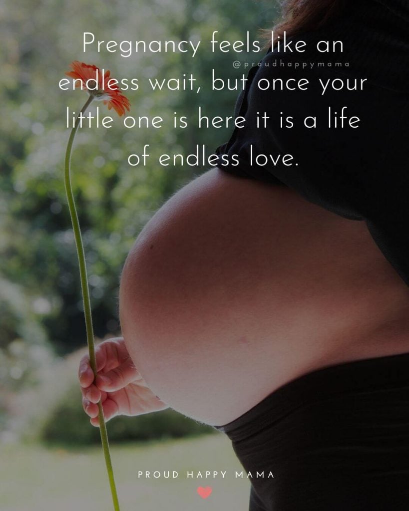 Expecting Parents Quotes - Pregnancy feels like an endless wait, but once your little one is here it is a life of endless love.
