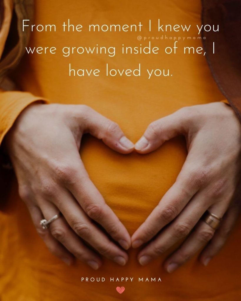 Mother To Unborn Baby Quotes - From the moment I knew you were growing inside of me; I have loved you.