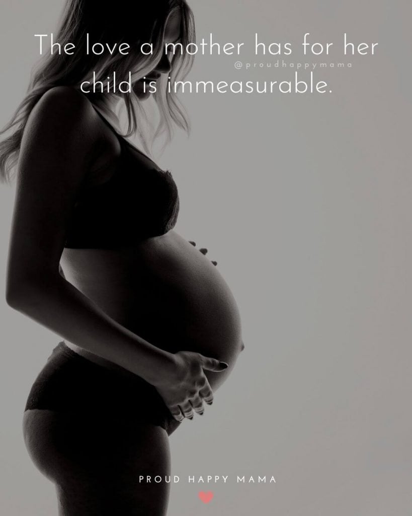 Pregnant Mother Quotes - The love a mother has for her child is immeasurable.