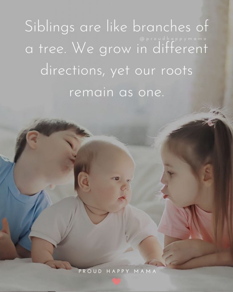 Inspirational Quotes Siblings | Siblings are like branches of a tree. We grow in different directions, yet our roots remain as one.