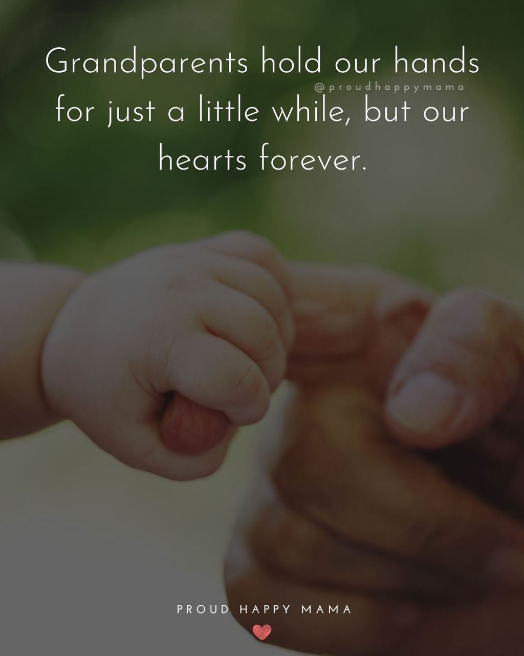 First Time Grandparents Quotes | Grandparents hold our hands for just a little while, but our hearts forever.
