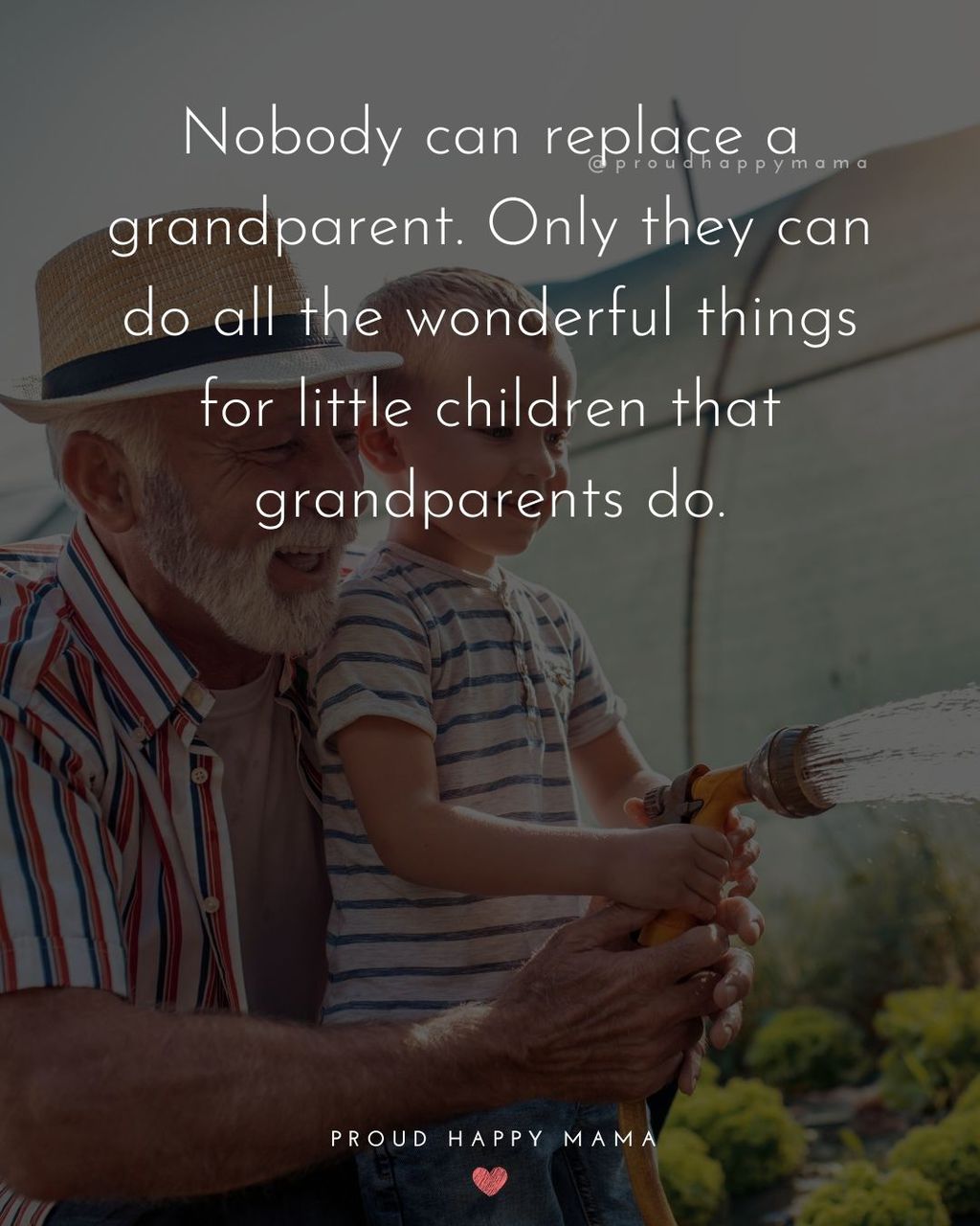 Grandparent Quote | Nobody can replace a grandparent. Only they can do all the wonderful things for little children that grandparents do.