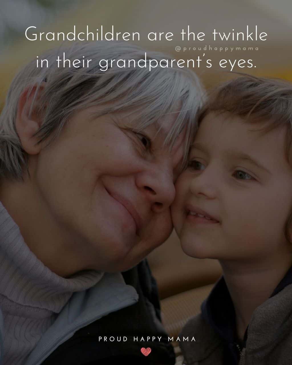 Grandparent Quotes – Grandchildren are the twinkle in their grandparent’s eyes.’