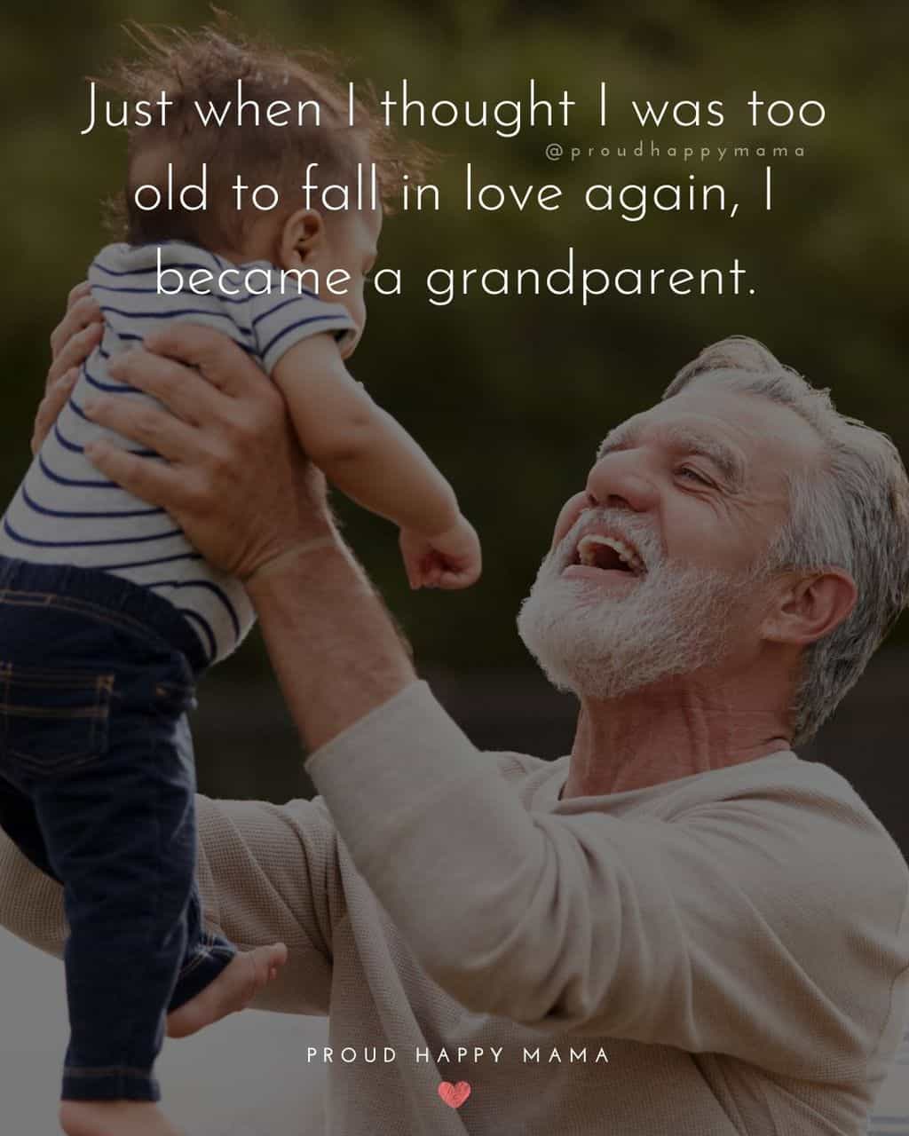 Grandparent Quotes – Just when I thought I was too old to fall in love again I became a grandparent.’