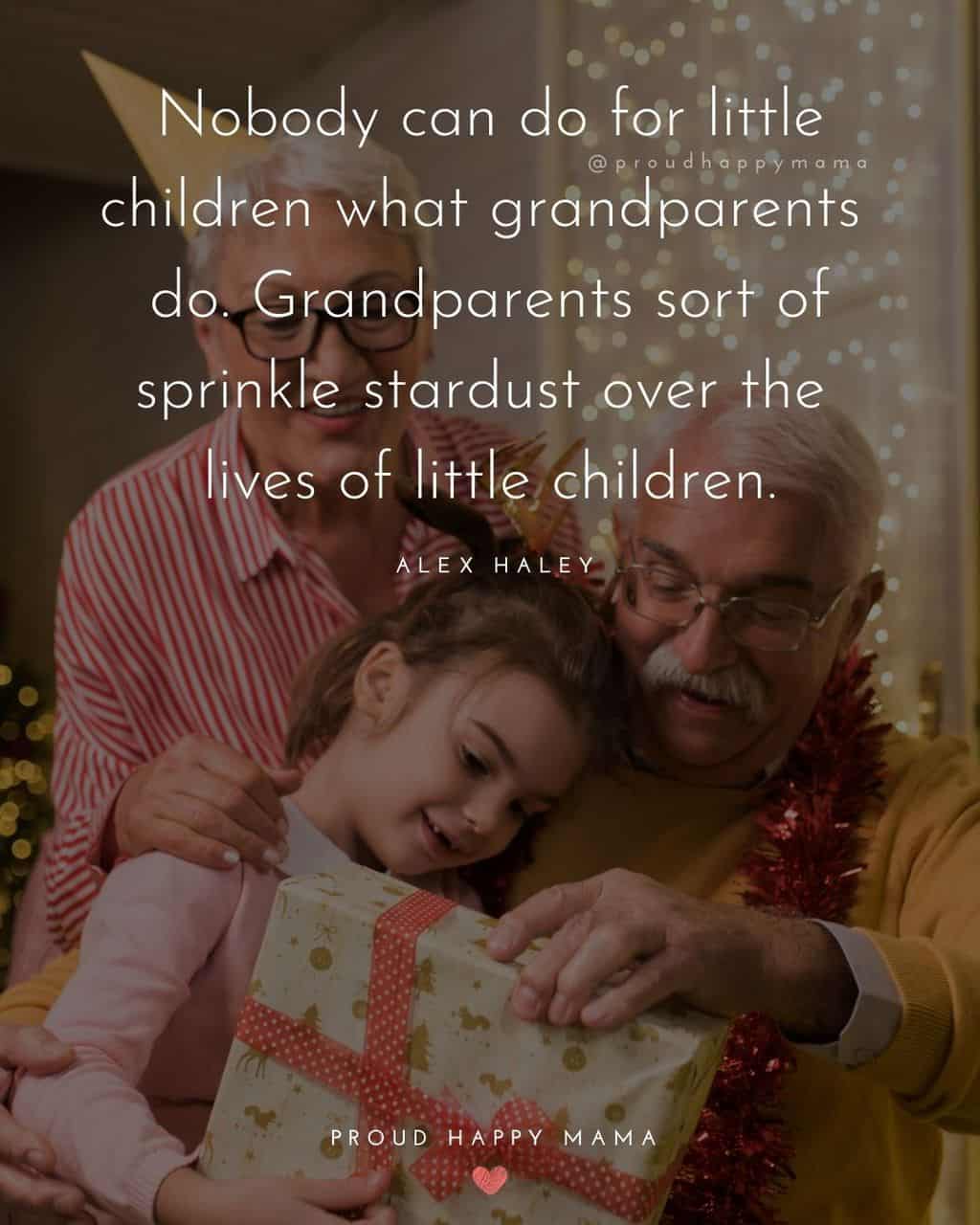 Grandparent Quotes – Nobody can do for little children what grandparents do. Grandparents sort of sprinkle stardust over the