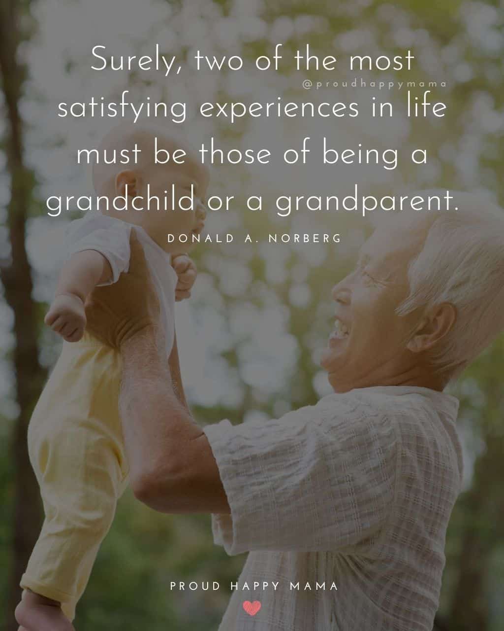 Grandparent Quotes – Surely, two of the most satisfying experiences in life must be those of being a grandchild or a