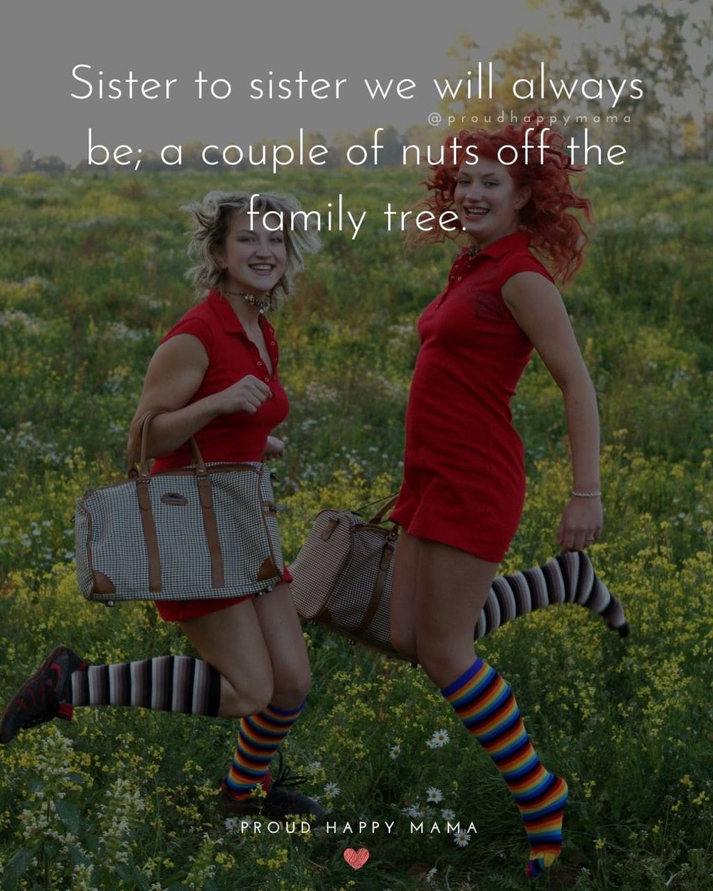 Sister Quotes - Sister to sister we will always be, a couple of nuts off the family tree.