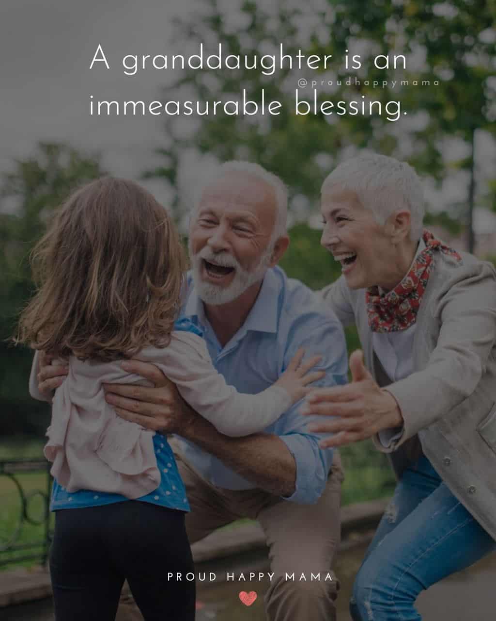 Granddaughter Quotes - A granddaughter is an immeasurable blessing.
