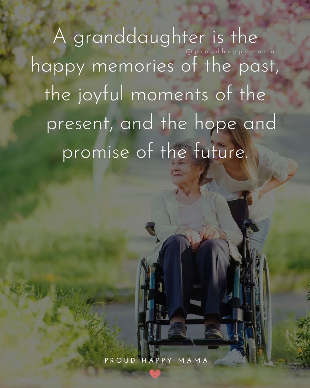 Granddaughter pushing elderly grandmother in wheelchair outdoors, with text overlay, ‘A granddaughter is the happy memories of the past, the joyful moments of the present, and the hope and promise of the future.’