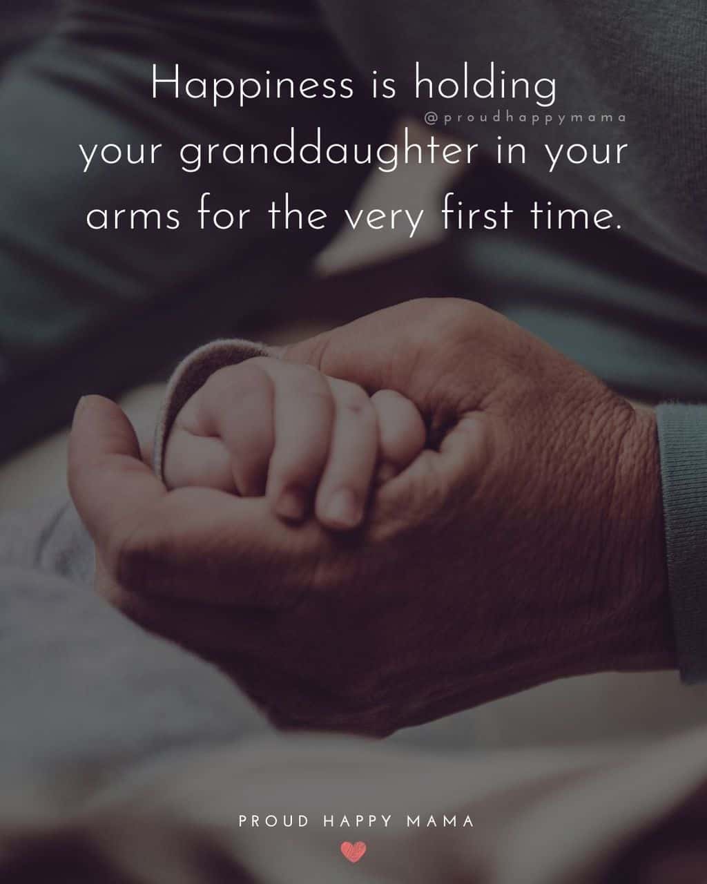 Granddaughter Quotes - Happiness is holding your granddaughter in your arms for the very first time.