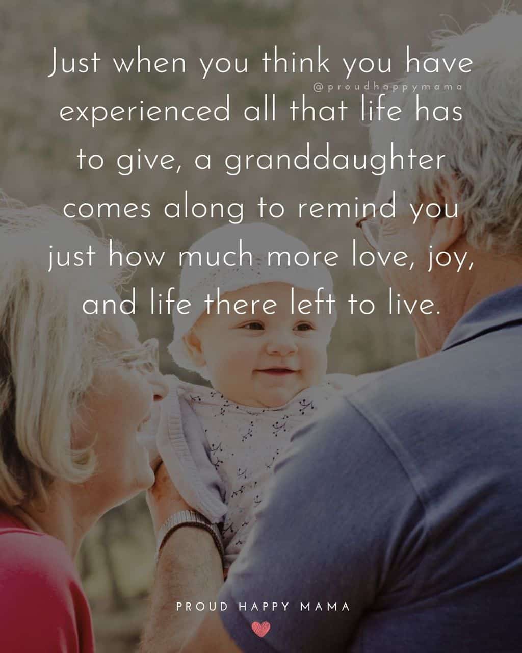 Granddaughter Quotes - Just when you think you have experienced all that life has to give, a granddaughter comes along to remind you just how much more love, joy, and life there left to live.