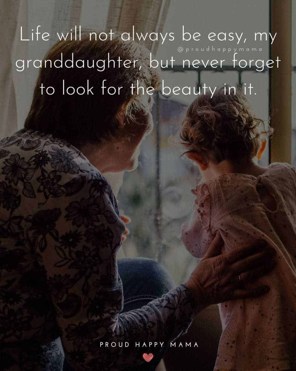 Granddaughter Quotes - Life will not always be easy, my granddaughter, but never forget to look for the beauty in it.’