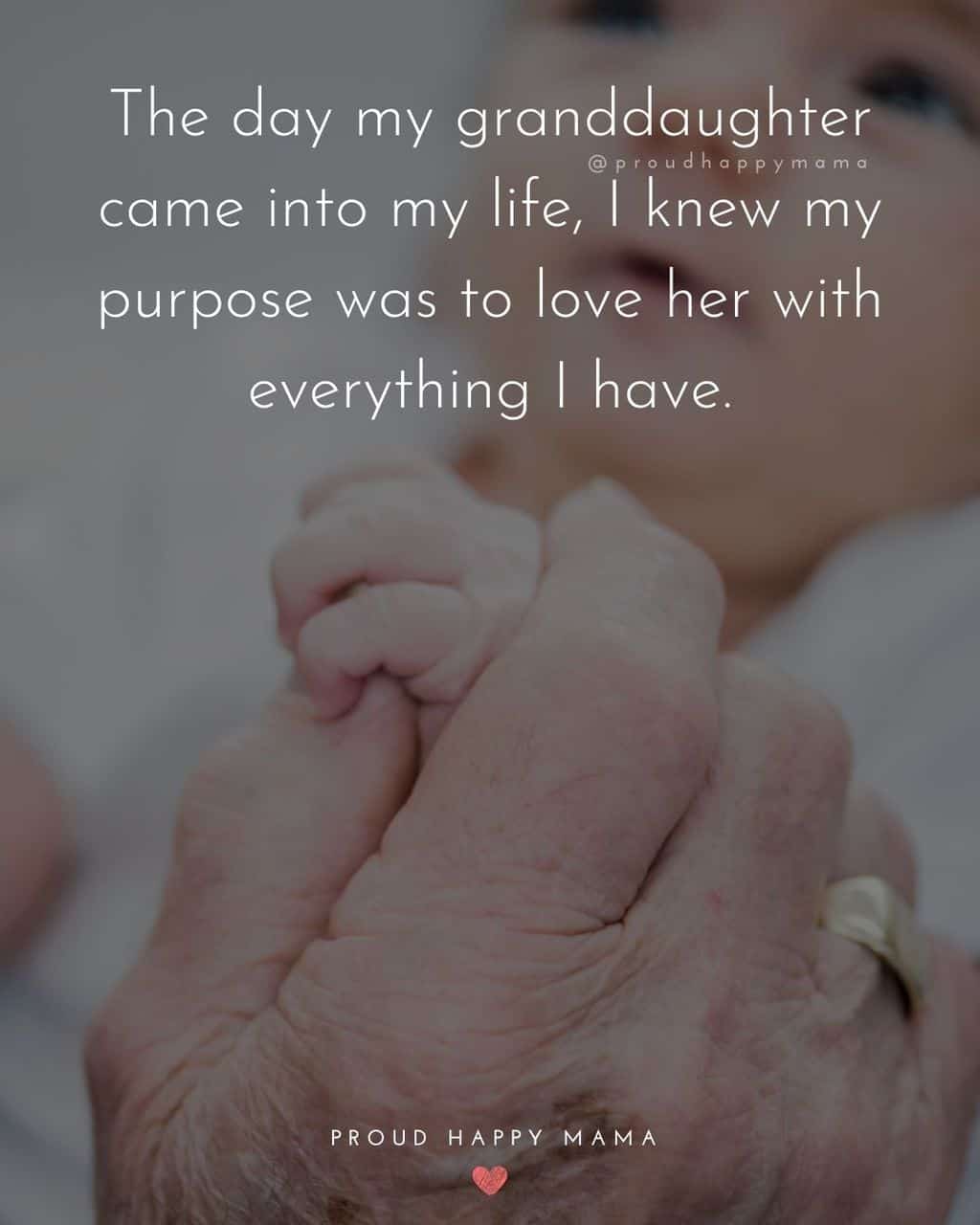 Granddaughter Quotes - The day my granddaughter came into my life, I knew my purpose was to love her with everything I have.