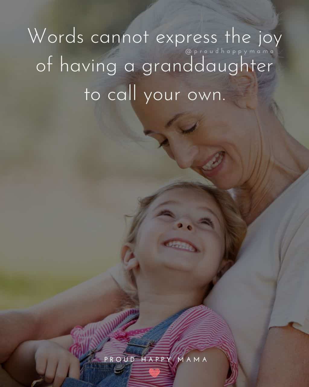 Granddaughter Quotes - Words cannot express the joy of having a granddaughter to call your own.