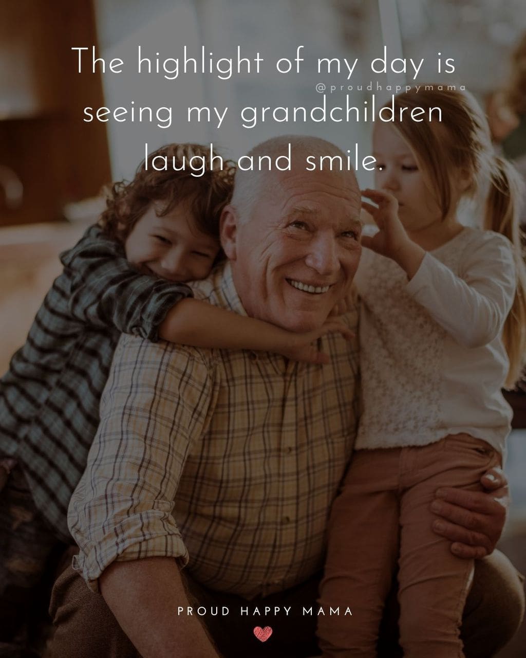 Quotes for Grandchildren - The highlight of my day is seeing my grandchildren laugh and smile.