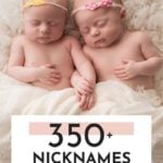 Best Nicknames For Twin Babies