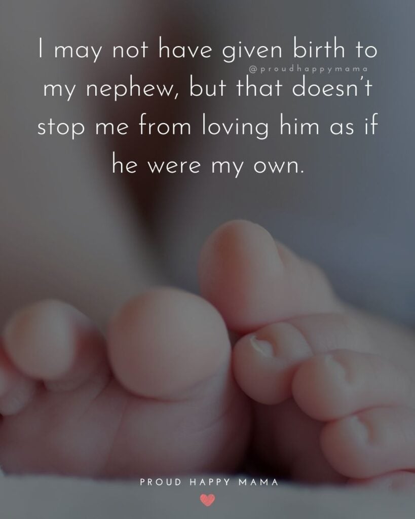 Nephew Quotes - I may not have given birth to my nephew, but that doesn’t stop me from loving him as if he were my own.