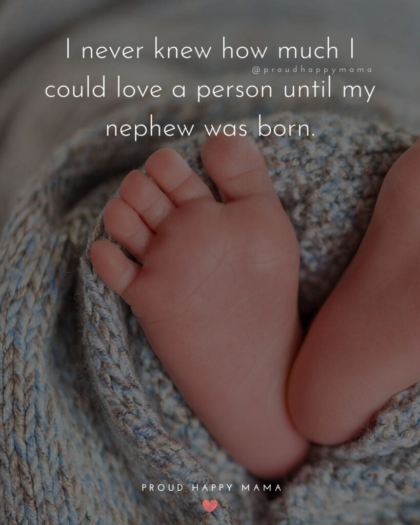 Nephew Quotes - I never knew how much I could love a person until my nephew was born.