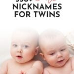 Nicknames For Twin Sister
