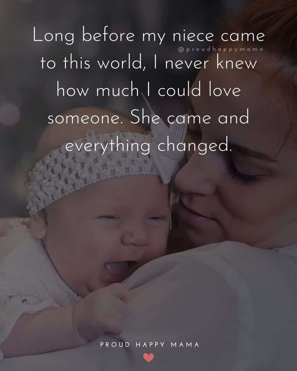 Niece Quotes - Long before my niece came to this world, I never knew how much I could love someone. She came and everything changed.