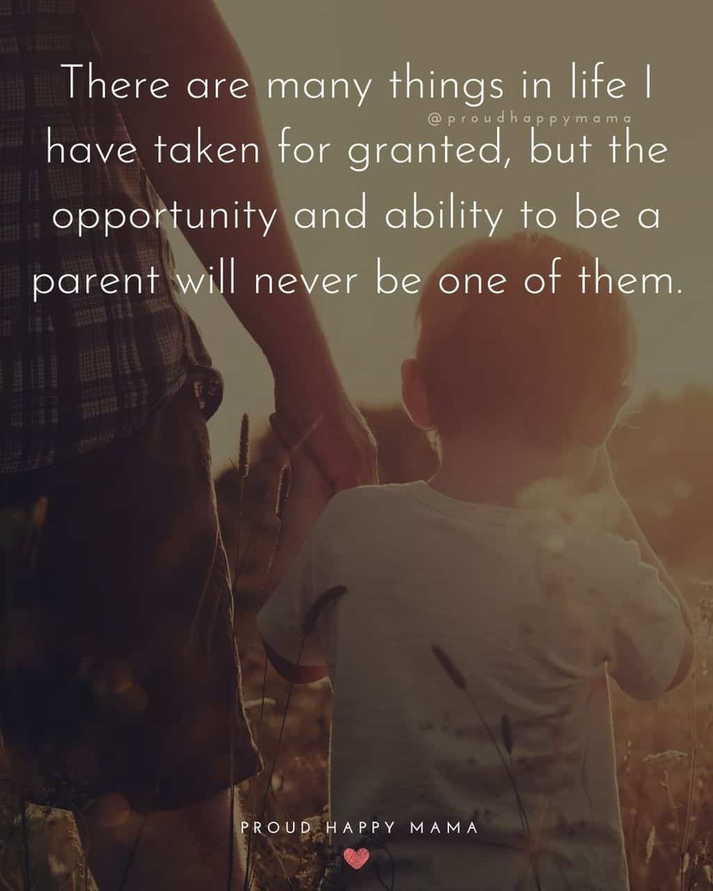 Parenting Quotes - There are many things in life I have taken for granted, but the opportunity and ability to be a parent will never be