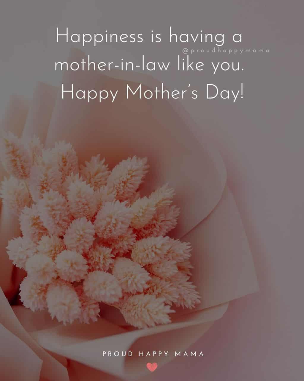 Happy Mothers Day Quotes For Mother In Law - Happiness is having a mother in law like you. Happy Mother’s Day!’