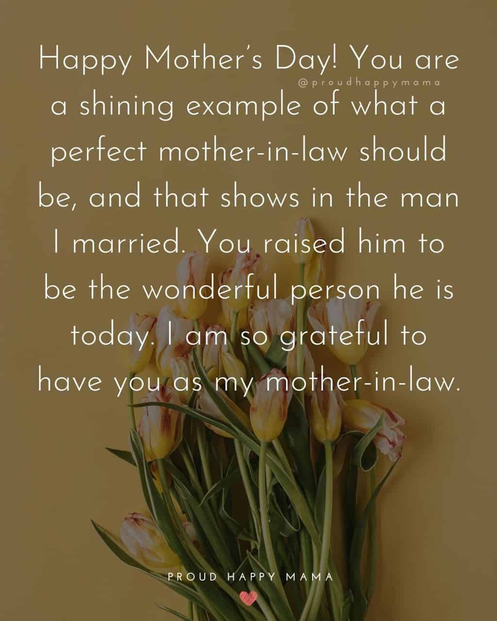 Happy Mothers Day Quotes For Mother In Law - Happy Mother’s Day! You are a shining example of what a perfect mother-in-law should be, 