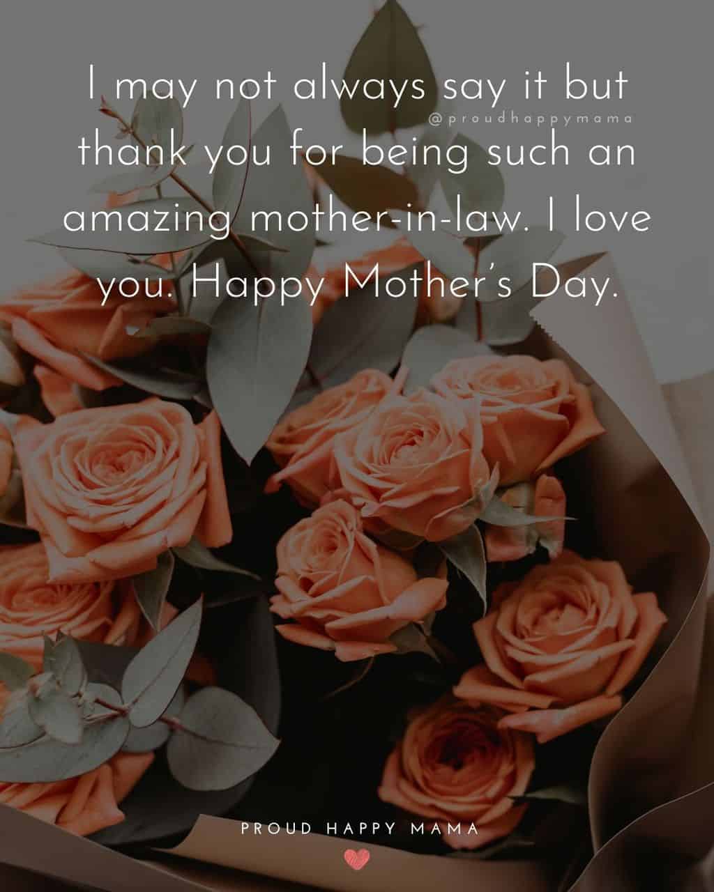 Happy Mothers Day Quotes For Mother In Law - I may not always say it but thank you for being such an amazing mother in law. I love you.