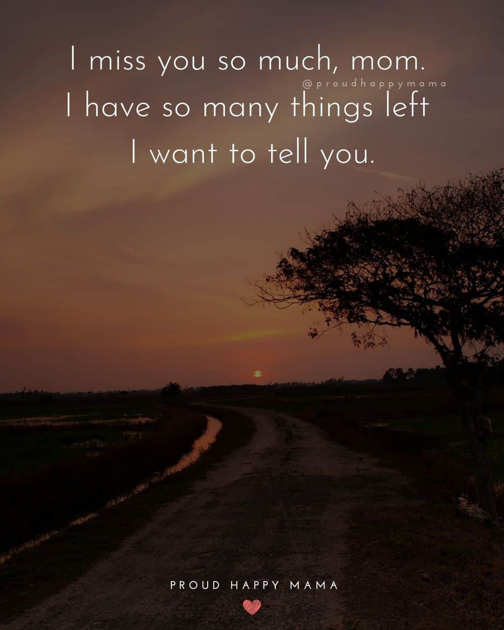 Sunset across road with rice fields with text overlay, ‘I miss you so much, mom. I have so many things left I want to tell you.’