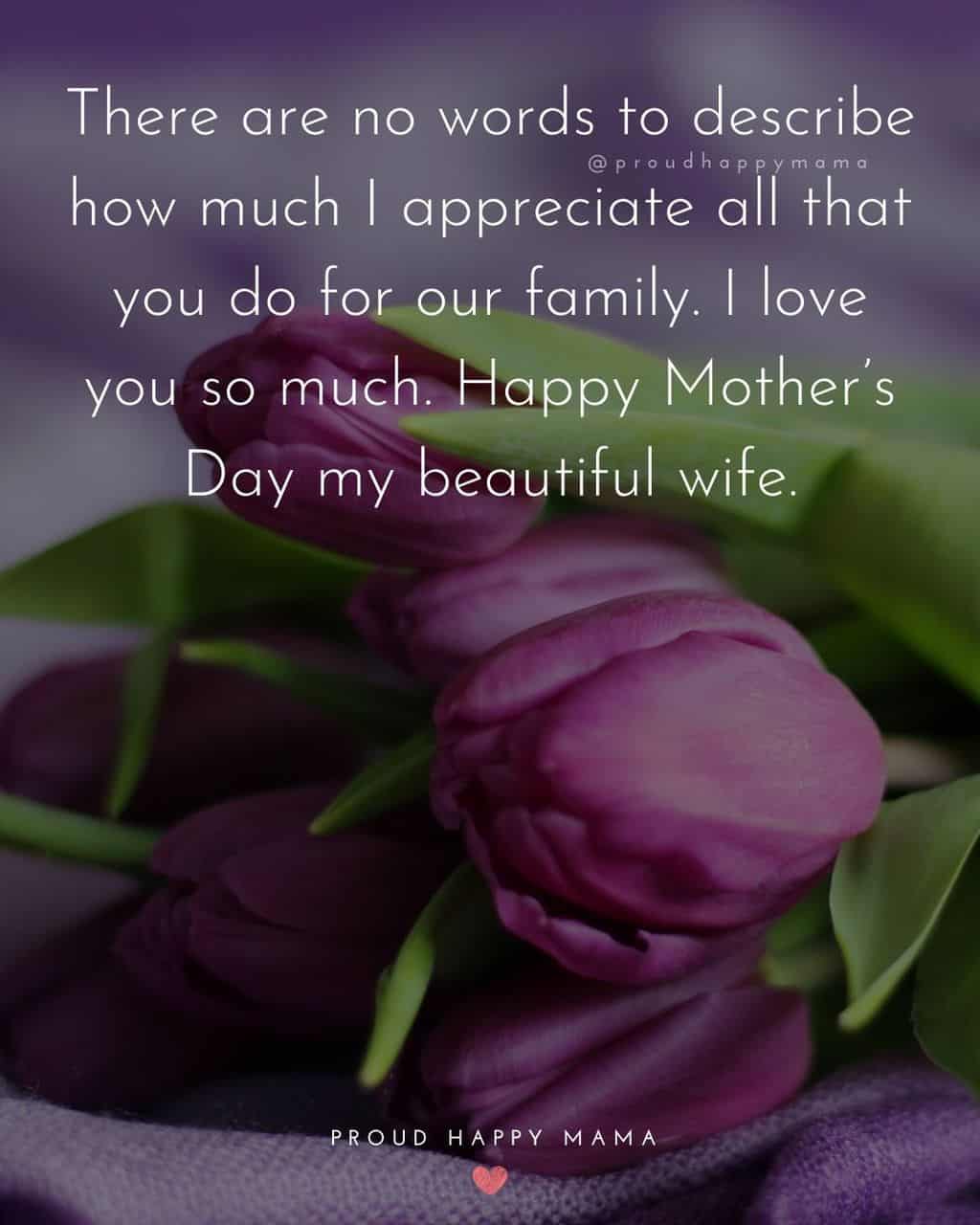 Happy Mothers Day Quotes For Wife - There are no words to describe how much I appreciate all that you do for our family. I