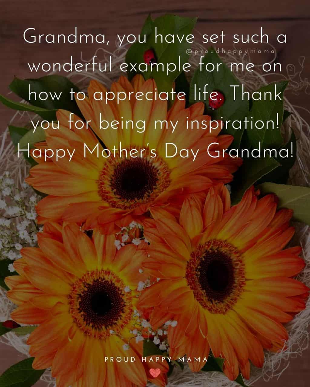 Happy Mothers Day Quotes To Grandma - Grandma, you have set such a wonderful example for me on how to appreciate life.