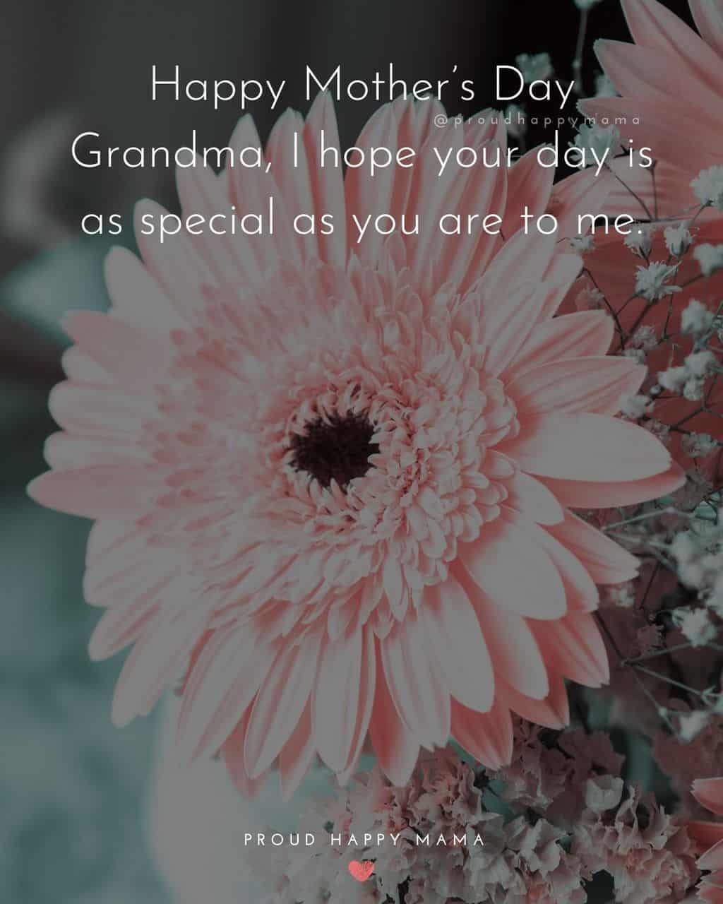 Happy Mothers Day Quotes To Grandma - Happy Mother’s Day Grandma, I hope your day is as special as you are to me.’