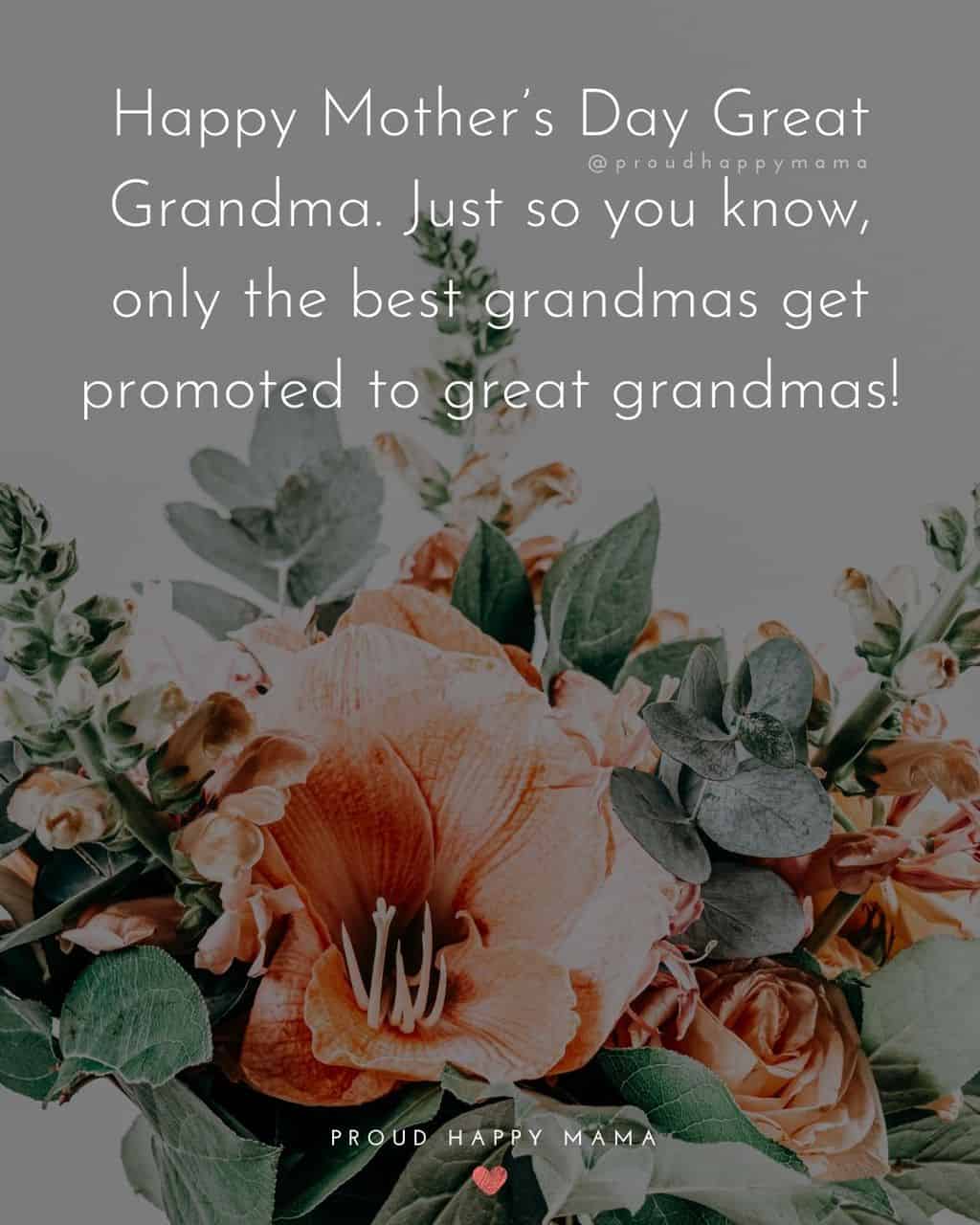 Happy Mothers Day Quotes To Grandma - Happy Mother’s Day Great Grandma. Just so you know, only the best grandmas get