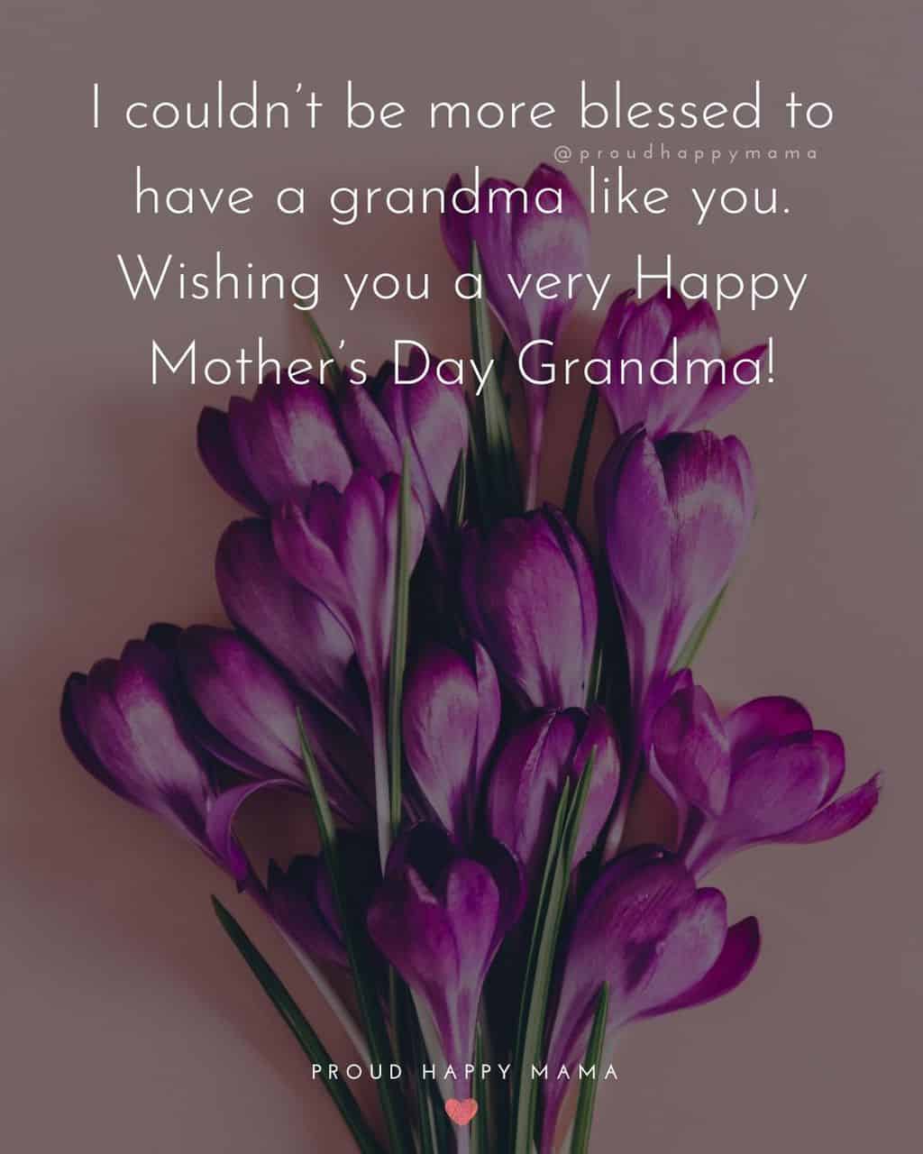 Happy Mothers Day Quotes To Grandma - I couldn’t be more blessed to have a grandma like you. Wishing you a very Happy