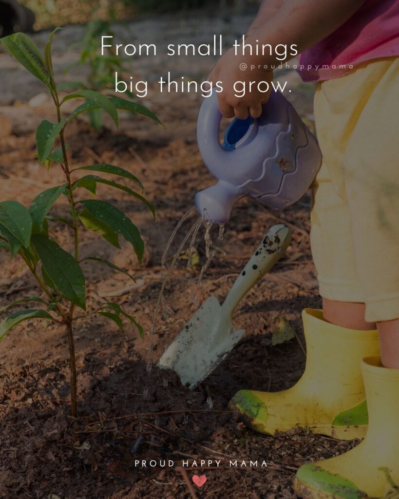 Inspirational Quotes For Kids - From small things big things grow.’