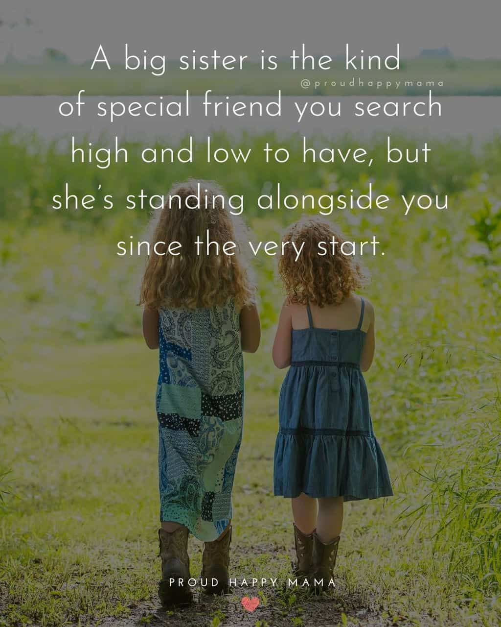 50 Best Big Sister Quotes And Sayings [with Images]