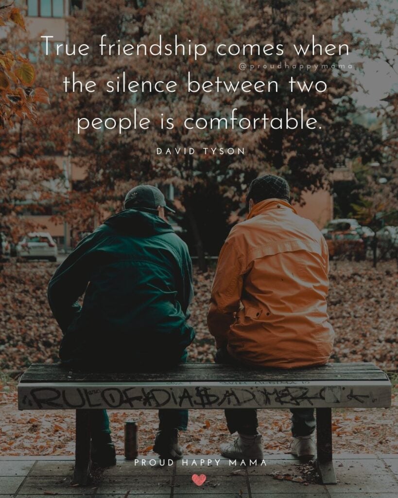 Friendship Quotes - True friendship comes when the silence between two people is comfortable.’ – David Tyson