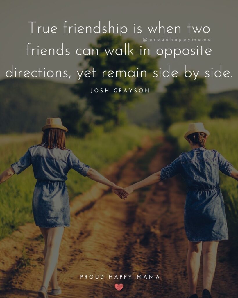Friendship Quotes - True friendship is when two friends can walk in opposite directions, yet remain side by side.’ – Josh Grayson