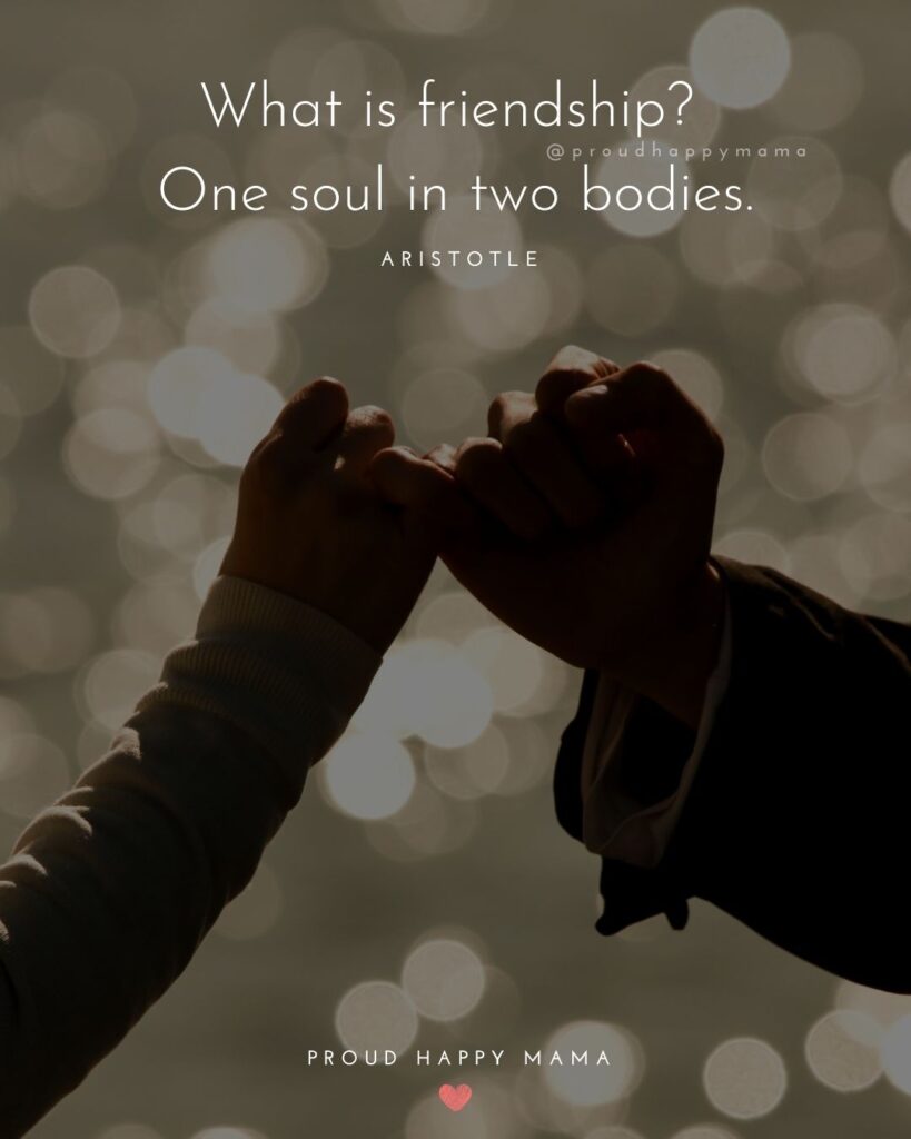 Friendship Quotes - What is friendship? One soul in two bodies.’ – Aristotle