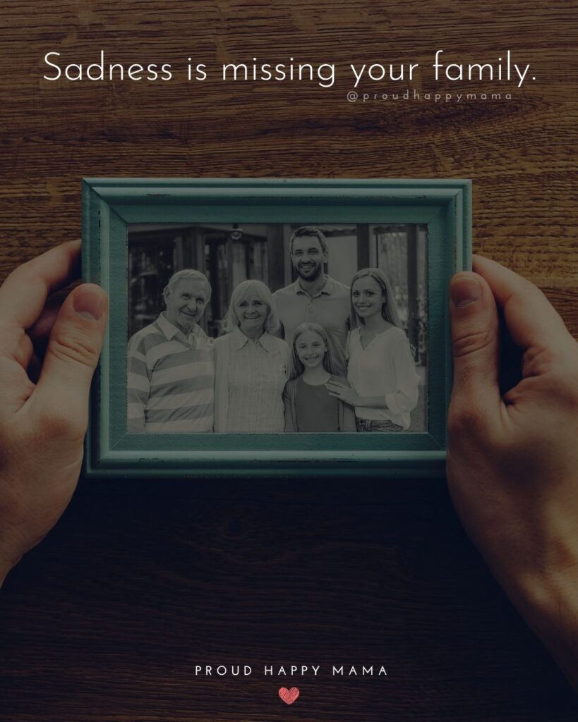 Missing Family Quotes - Sadness is missing your family.’