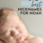 Best Nicknames For Noah