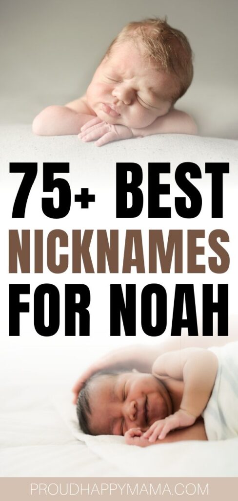 Cool Nicknames For Noah