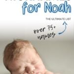 Cute Nicknames For Noah