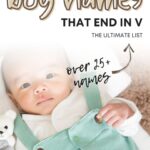 boy names that end with v