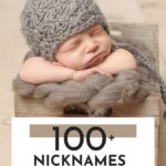 Alexander Nicknames