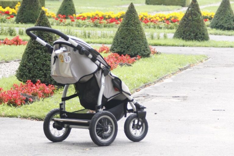 Baby Jogger City Mini GT2 Review